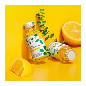 Grove Co Tub Tile Cleaner Concentrate Lemon Eucalyptus 2 Pack 4oz Total Natural